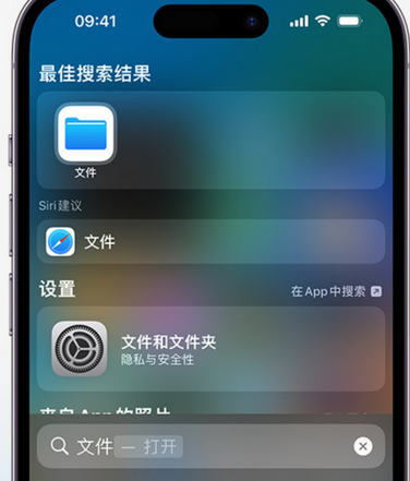 德庆apple维修中心分享iPhone文件应用中存储和找到下载文件 