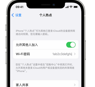 德庆apple服务站点分享iPhone上个人热点丢失了怎么办