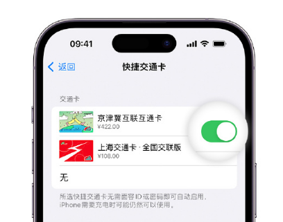 德庆apple维修点分享iPhone上更换Apple Pay快捷交通卡手绘卡面 