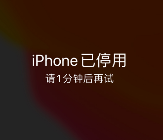 德庆苹果手机维修分享:iPhone 显示“不可用”或“已停用”怎么办？还能保留数据吗？ 