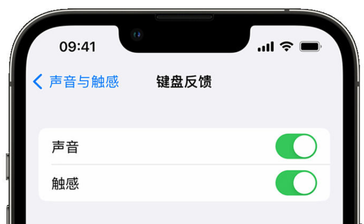 德庆苹果手机维修分享iPhone 14触感键盘使用方法 