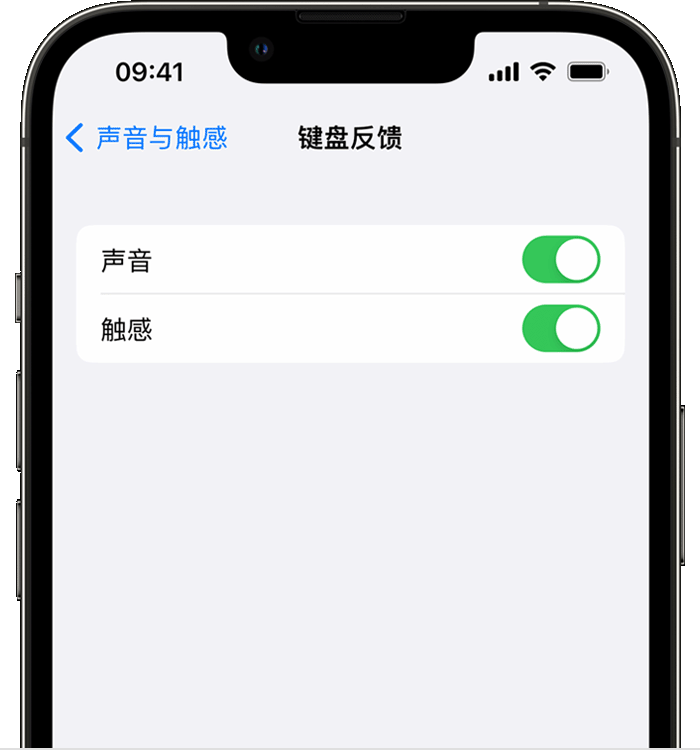 德庆苹果14维修店分享如何在 iPhone 14 机型中使用触感键盘 