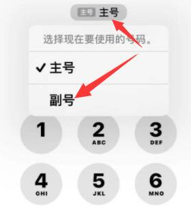 德庆苹果14维修店分享iPhone 14 Pro Max使用副卡打电话的方法 