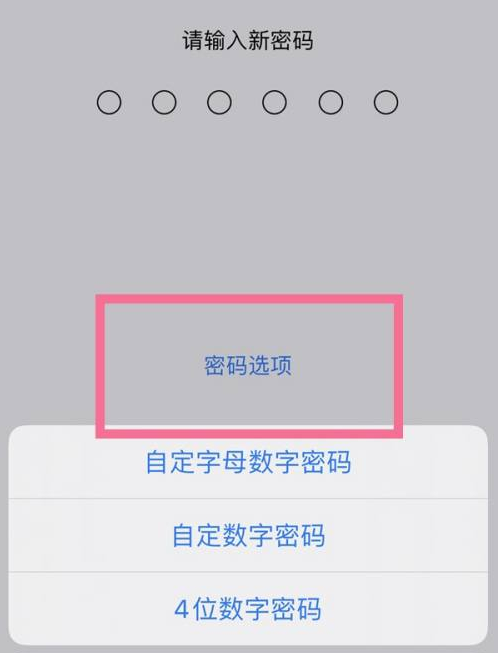 德庆苹果14维修分享iPhone 14plus设置密码的方法 