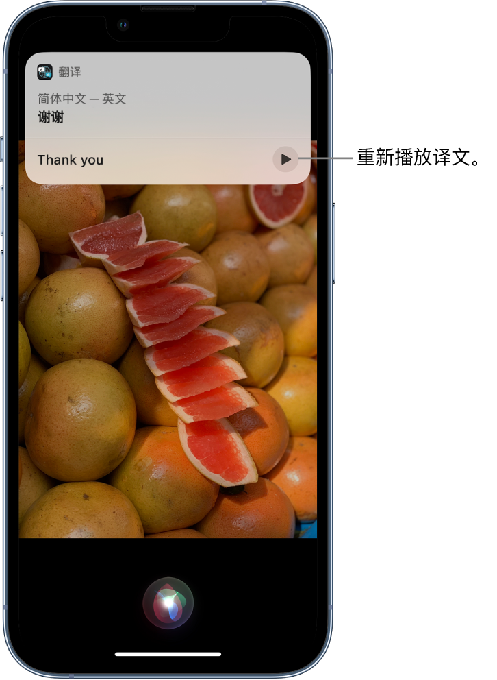 德庆苹果14维修分享 iPhone 14 机型中使用 Siri：了解 Siri 能帮你做什么 