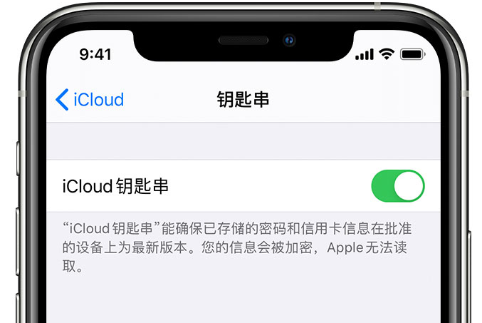 德庆苹果手机维修分享在 iPhone 上开启 iCloud 钥匙串之后会储存哪些信息 