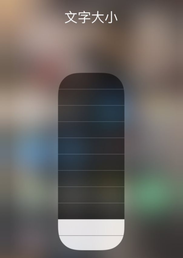 德庆苹果手机维修分享小技巧：在 iPhone 控制中心快速调节字体大小 
