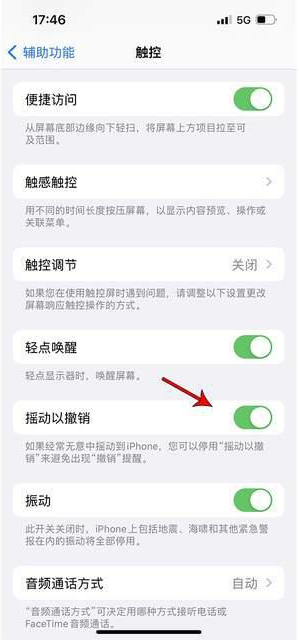 德庆苹果手机维修分享iPhone手机如何设置摇一摇删除文字 